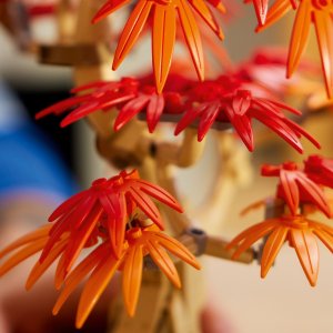 LEGO Botanicals Palm tree bonsai (10348) 2