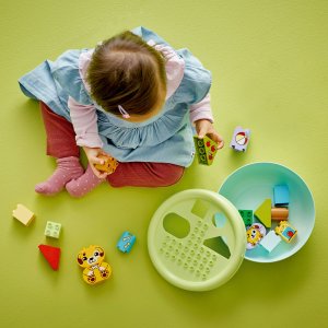 LEGO Duplo Sorter kształtów: dom szczeniaczków (10441) 3