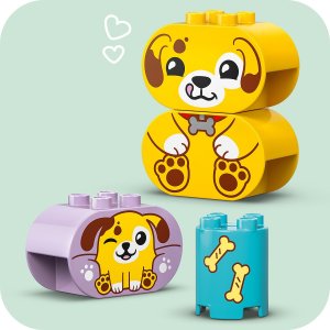 LEGO Duplo Sorter kształtów: dom szczeniaczków (10441) 5