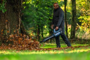 Dysza PRO Intermediary and Flat Blower 3