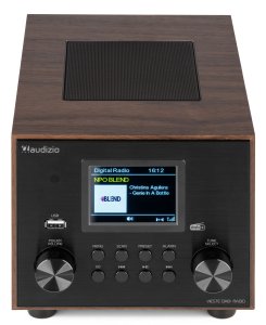 Radioodtwarzacz Audizio Radio Vieste DAB+ FM z subwooferem, ciemne drewno one size 6