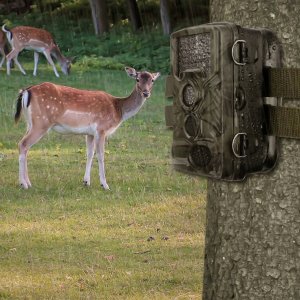 FOTOPUŁAPKA KAMERA LEŚNA HC800A 9