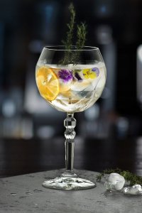 GIN TONIC GOBLET 27433020006 ALKEMIST 2