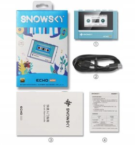 FiiO SNOWSKY ECHO* MINI - black - Przenośny odtwarzacz Hi-Res 15