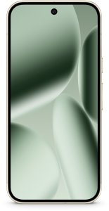 Smartfon Pixel 10 Pro 5G 16/256GB Zielony  (GA10316-GB) 2