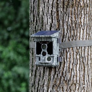 Rollei 40536 – Kamera obserwacyjna CMOS z trybem nocnym i rozdzielczością 4K 9