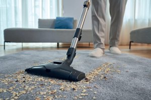 Odkurzacz Hoover Cyclonic vacuum cleaner HOOVER HP210P 011 19
