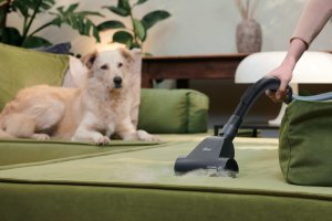 Odkurzacz Hoover Cyclonic vacuum cleaner HOOVER HP210P 011 8