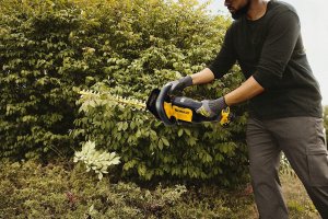 DEWALT NOŻYCE DO ŻYWOPŁOTU 18V DCMHT562P1 550mm 19mm 1x5,0Ah 10
