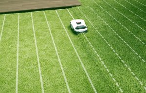 Robot koszący Anthbot Genie3000, (3600 m2) rtk + kamera 15