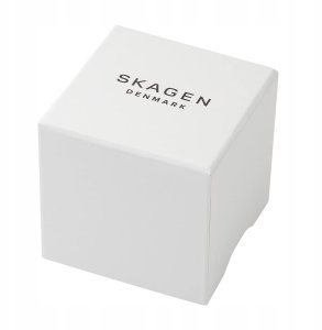 Zegarek Skagen SKW3129 2