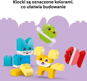 LEGO Duplo Kreatywne zwierzaki 3w1 (10477) 5