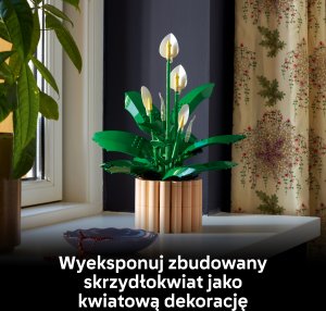 LEGO Botanicals Skrzydłokwiat (11504) 6