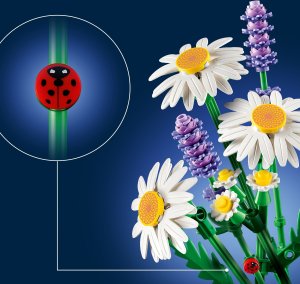 LEGO Botanicals Stokrotki (11508) 7
