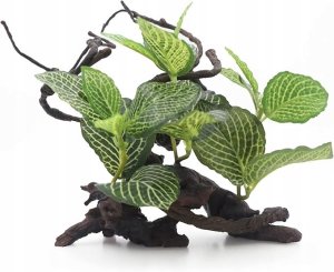 Terra Natura Aqua Natura,  roślina, do dekoracji akwarium, kompozycja na korzeniu, plastikowa, 12-31 cm , różne rodzaje roślin 2