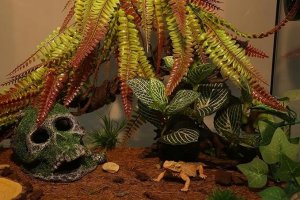 Terra Natura Aqua Natura,  roślina, do dekoracji akwarium, kompozycja na korzeniu, plastikowa, 12-31 cm , różne rodzaje roślin 5