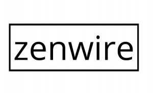 Suszarka Zenwire Mini Suszarka do Włosów z Jonizacją Składana Mała Turystyczna Podróżna PRO M1 15