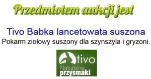 Tivo TIVO ZIOŁA  BABKA LANCETOWATA XXL   600g     /12 3