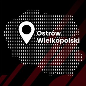 GrizzGlass Folia do wnętrza GrizzGlass PianoSkin Glossy do Fiat Grande Panda (2025) [5w1] 3