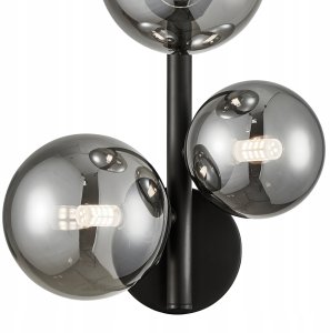 Natur Planet NATUR PLANET_SET duet idealny Drzewo Herbaciane 2