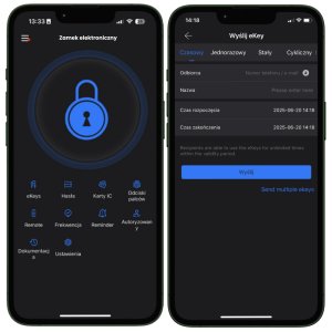 Spreest Zamek elektroniczny wideodomofon do drzwi furtki na kod szyfr WiFi TTLOCK 5