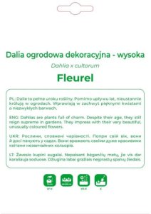 Legutko Dalia Fleurel biała 1szt. 2