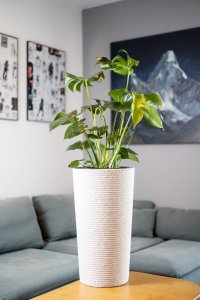 Adoni Doniczka bawełniana biała z wkładem 32x57 cm – ręcznie robiona (adoni-ba-wht-57) 3