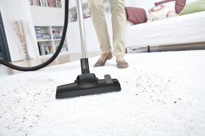 Odkurzacz Karcher DS 6 (1.195-220.0) 2