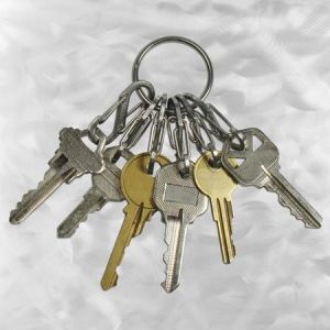 Breloczek Nite-Ize KeyRing+ 6 x micro karabińczyk ze stali nierdzewnej (KRGS-11-R3) 3