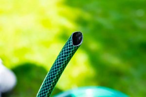 Verto Wąż ogrodowy 20m 3/4" ECONOMIC (15G803) 5