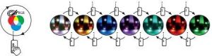 Taśma LED Kanlux SMD3528 5m 30szt./m 7.2W/m 12V RGB multikolor (24531) 5