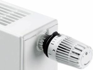 Stelrad Grzejnik Planar Typ 22 600 x 1800mm 2373W 2