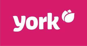 York Wałek do czyszczenia ubrań+4 wkłady 2