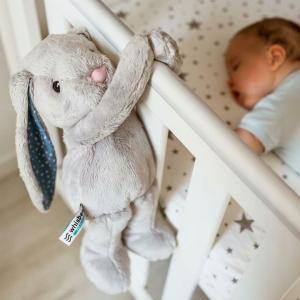 Whisbear Szumiący Króliś Felek szary 3