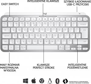 Klawiatura Logitech MX Keys Mini (920-010499) 7