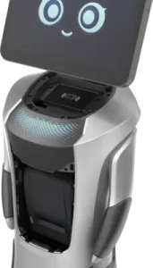 Wydawnictwo Naukowe PWN Orion Star OS-R-SG04 AI Service Robot-GreetingBot Nova 5