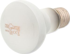 REPTI PLANET RP ZAROWKA DAYLIGHT FROSTED 50W 41022 2