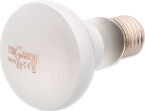 REPTI PLANET RP ZAROWKA DAYLIGHT FROSTED 75W 41023 3