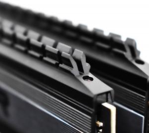 Pamięć Patriot Viper 4 BLACKOUT, DDR4, 16 GB, 3200MHz, CL16 (PVB416G320C6K) 10