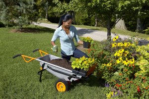 Worx Taczka srebrna (WG050) 5