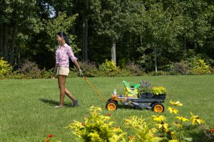Worx Taczka srebrna (WG050) 6