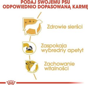 Royal Canin Yorkshire Terrier Adult karma sucha dla psów dorosłych rasy yorkshire terrier 3kg 5