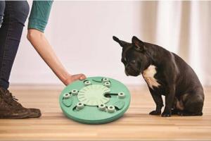 Outward Hound Nina Ottosson Dog Worker Green - gra edukacyjna [69541] 4