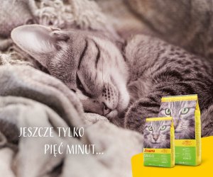 Josera Sensicat 2kg (50007766) 7