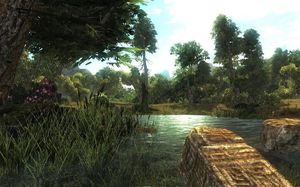 Risen PC, wersja cyfrowa 13