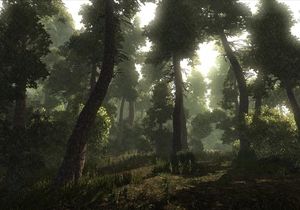 Risen PC, wersja cyfrowa 15
