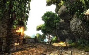 Risen PC, wersja cyfrowa 4