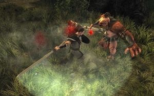 Risen PC, wersja cyfrowa 6