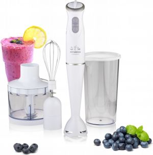 Blender Hyundai HB983 3