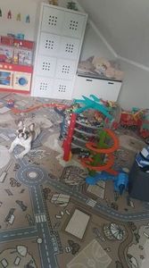 Dywany Łuszczów DYWAN - WYKŁADZINA antypoślizgowa dla dzieci STREET beżowy, 200x200 cm 3